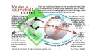 Curve Ball Physics