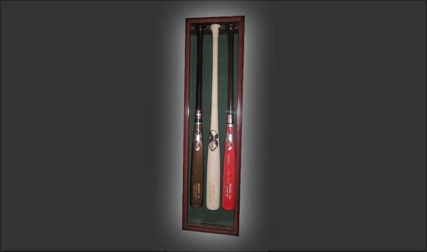 3 Bat Display Case